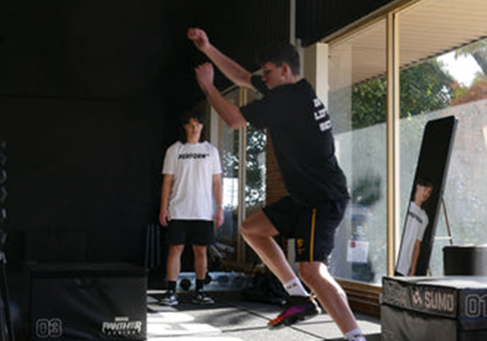 What are Intensive Plyometrics?